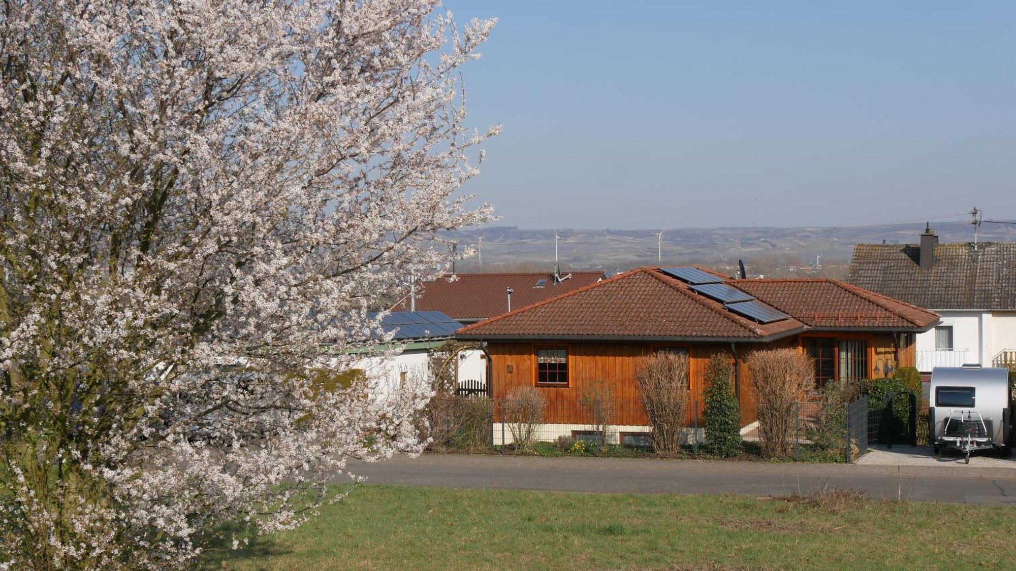 Ferienwohnung An Den Weingaerten Langenlonsheim Esterno foto
